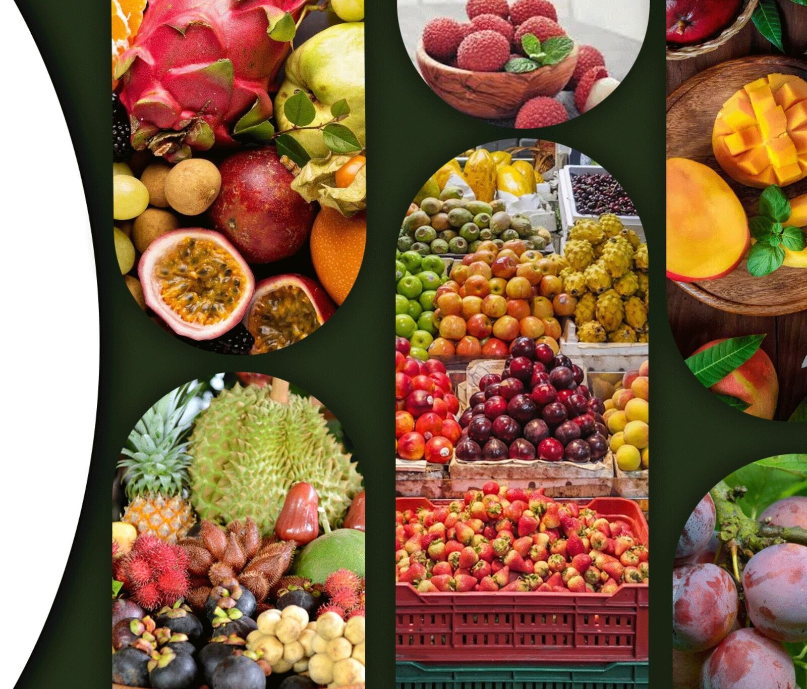 Assortment of exotic fruits including dragon fruit, passion fruit and pomegranate