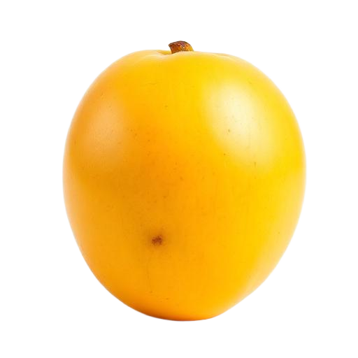 Alphonso Mango